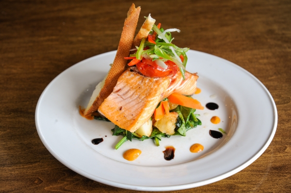 Salmon