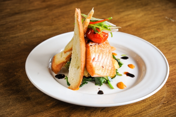 Salmon